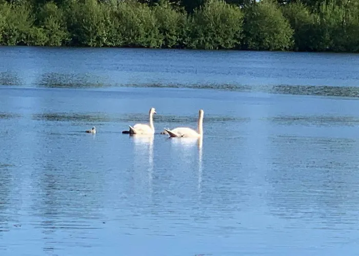 Seegarten Gmbh Hotel